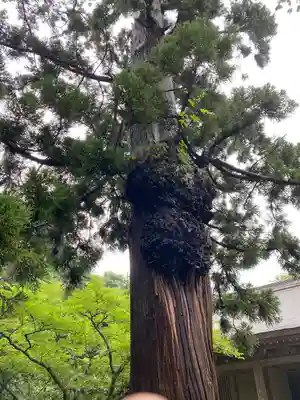鳥海山大物忌神社吹浦口ノ宮(山形県)