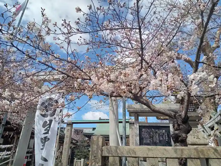 生野八坂神社の自然