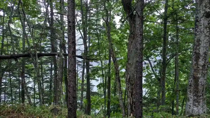 糠平電源神社の自然