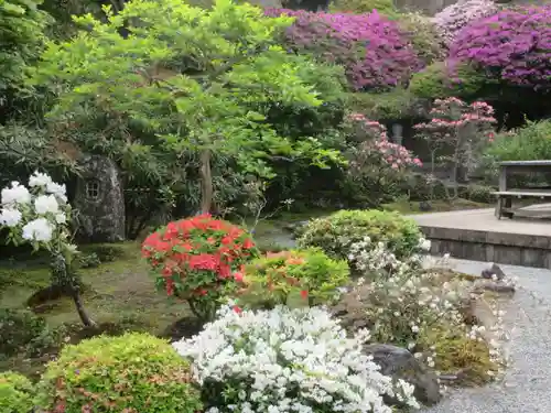 海蔵寺の庭園