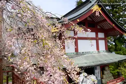 武蔵御嶽神社の自然