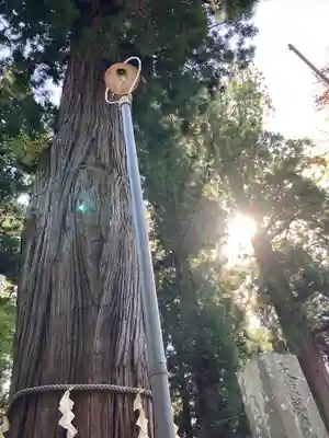 河口浅間神社(山梨県)