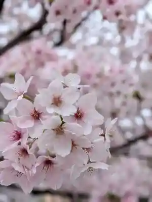 東光寺(東京都)