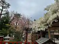 旗上弁財天社の自然