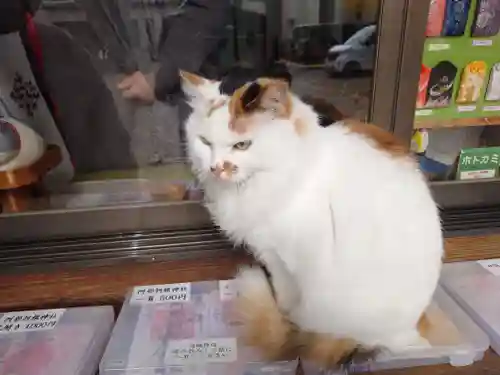 阿邪訶根神社(福島県)