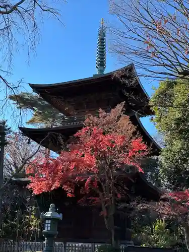 豪徳寺(東京都)