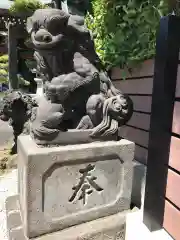 太田杉山神社・横濱水天宮の狛犬