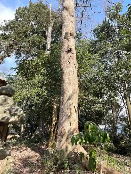 飯開神社のその他建物