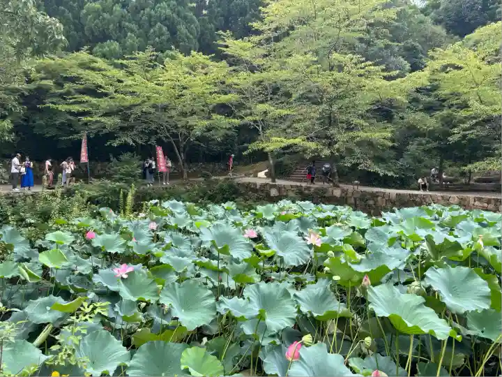 御髪神社の周辺