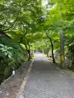 龍華寺(広島県)