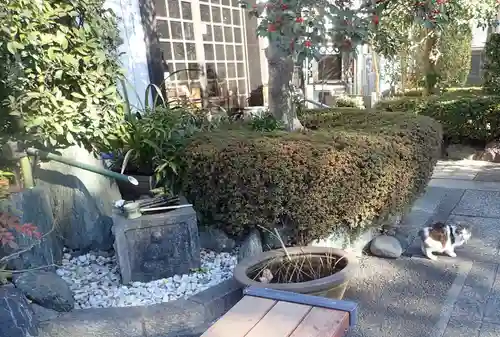 溝口神社(神奈川県)