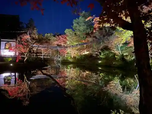 高台寺（高台寿聖禅寺・高臺寺）の景色