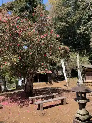 慈眼寺(観音堂）(神奈川県)