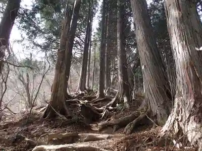 武蔵御嶽神社奥の院の自然
