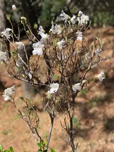 大生郷天満宮の自然