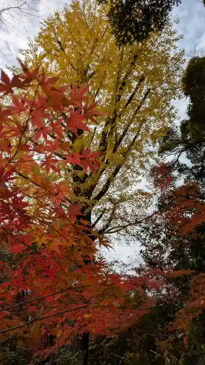 長岡天満宮(京都府)