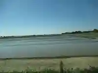 伏木香取神社(茨城県)