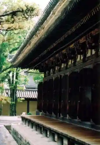 蓮華王院（三十三間堂）の本殿・本堂