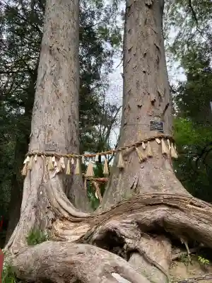 妻沼聖天山歓喜院(埼玉県)