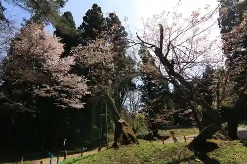 磐椅神社の庭園