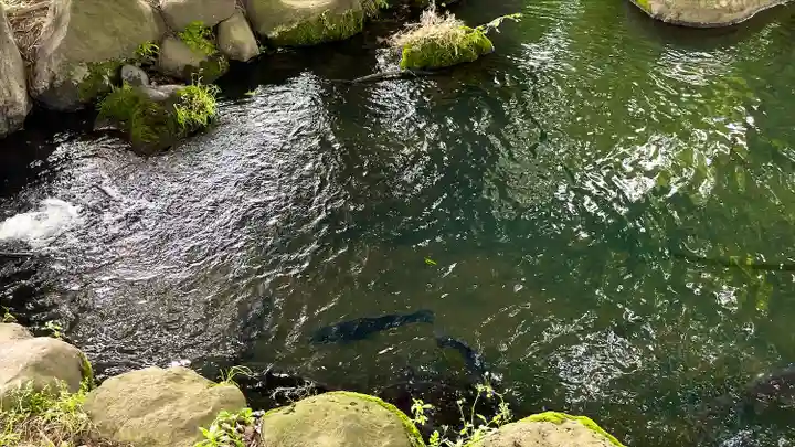 白鳥神社(長野県)
