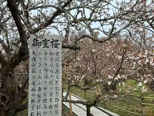 仁和寺(京都府)