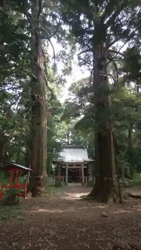 新宮神社の建物その他