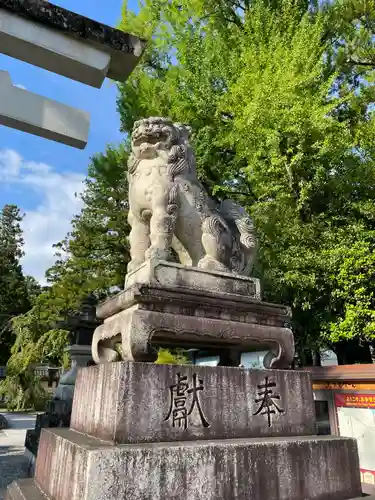 多賀大社(滋賀県)