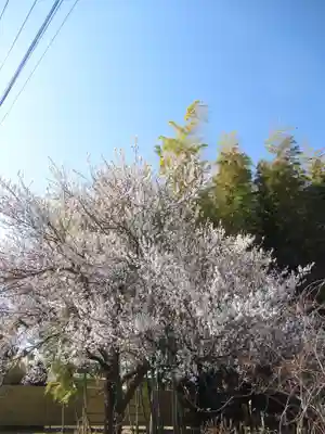 真光寺(千葉県)