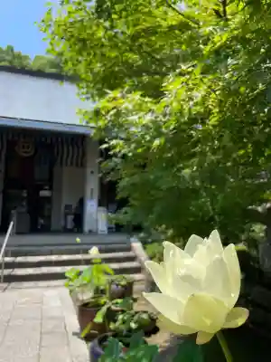 伊勢の国 四天王寺(三重県)