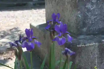 源福寺(滋賀県)