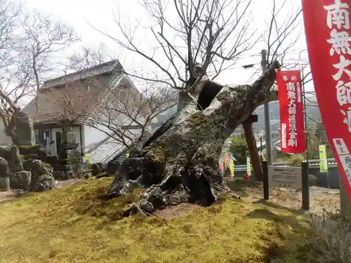 慈恩寺阿弥陀堂(奈良県)