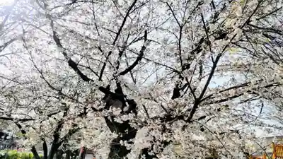 光徳寺(群馬県)