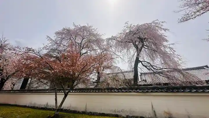 醍醐寺(京都府)
