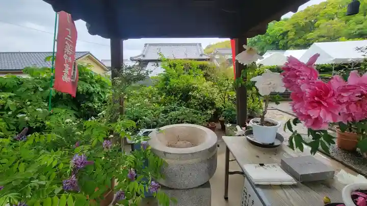 浄明院(愛媛県)