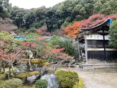 醍醐寺(京都府)