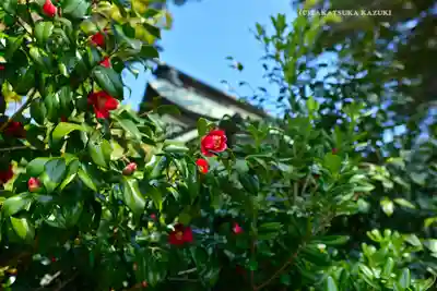 酒列磯前神社(茨城県)
