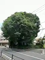 小野神社(東京都)