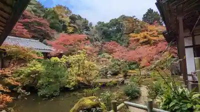 実相院門跡(京都府)