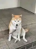 笠䅣稲荷神社(神奈川県)