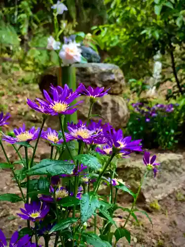 牟禮山観音禅寺の自然