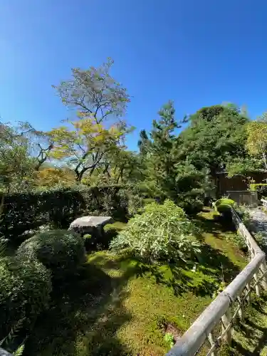 宝泉院(京都府)