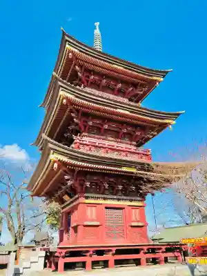 不動院(板橋不動尊)の{uncategorized: "未分類", other: "その他", undefined: "問題あり", building: "その他建物", grave: "お墓", sacred_gate: "鳥居", guardian: "狛犬", statue: "像", buddha: "仏像", history: "歴史", nature: "自然", garden: "庭園", animal: "動物", pagoda: "塔", temizu: "手水舎", mountain_gate: "山門・神門", sanctuary: "本殿・本堂", subordinate: "末社・摂社", art: "芸術", scenery: "景色", jizo: "地蔵", ema: "絵馬", goshuin: "御朱印", omikuji: "おみくじ", items: "授与品その他", amulet: "お守り", goshuincho: "御朱印帳", eats: "食事", festival: "お祭り", votive_dance: "神楽", shichigosan: "七五三参", wedding: "結婚式", experience: "体験その他", initially: "初詣", around: "周辺", anti_infection: "感染症対策"}