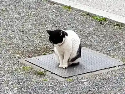 回向院(東京都)