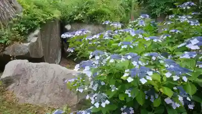 有珠善光寺(北海道)