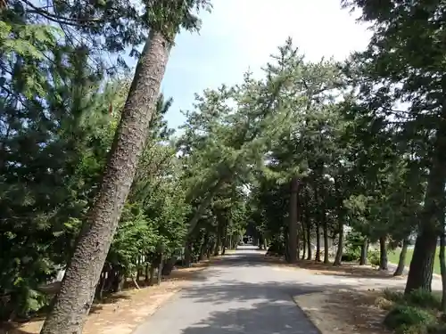 紀倍神社の自然