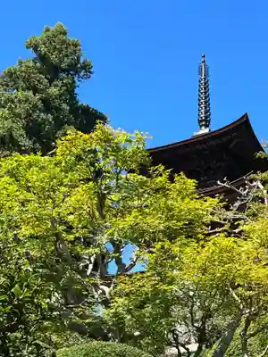 国宝 大法寺(長野県)