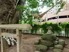 熊野神社(山形県)