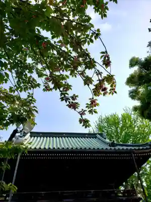 妙法寺の山門・神門