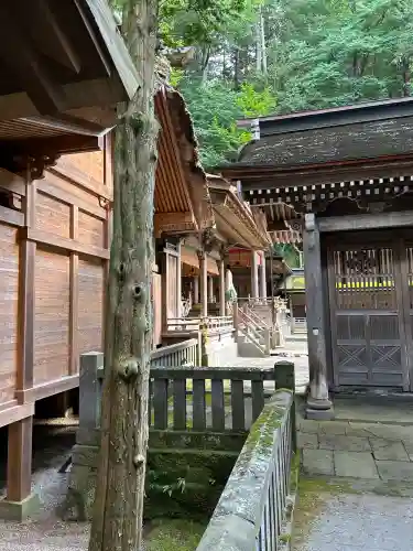 諏訪大社(長野県)